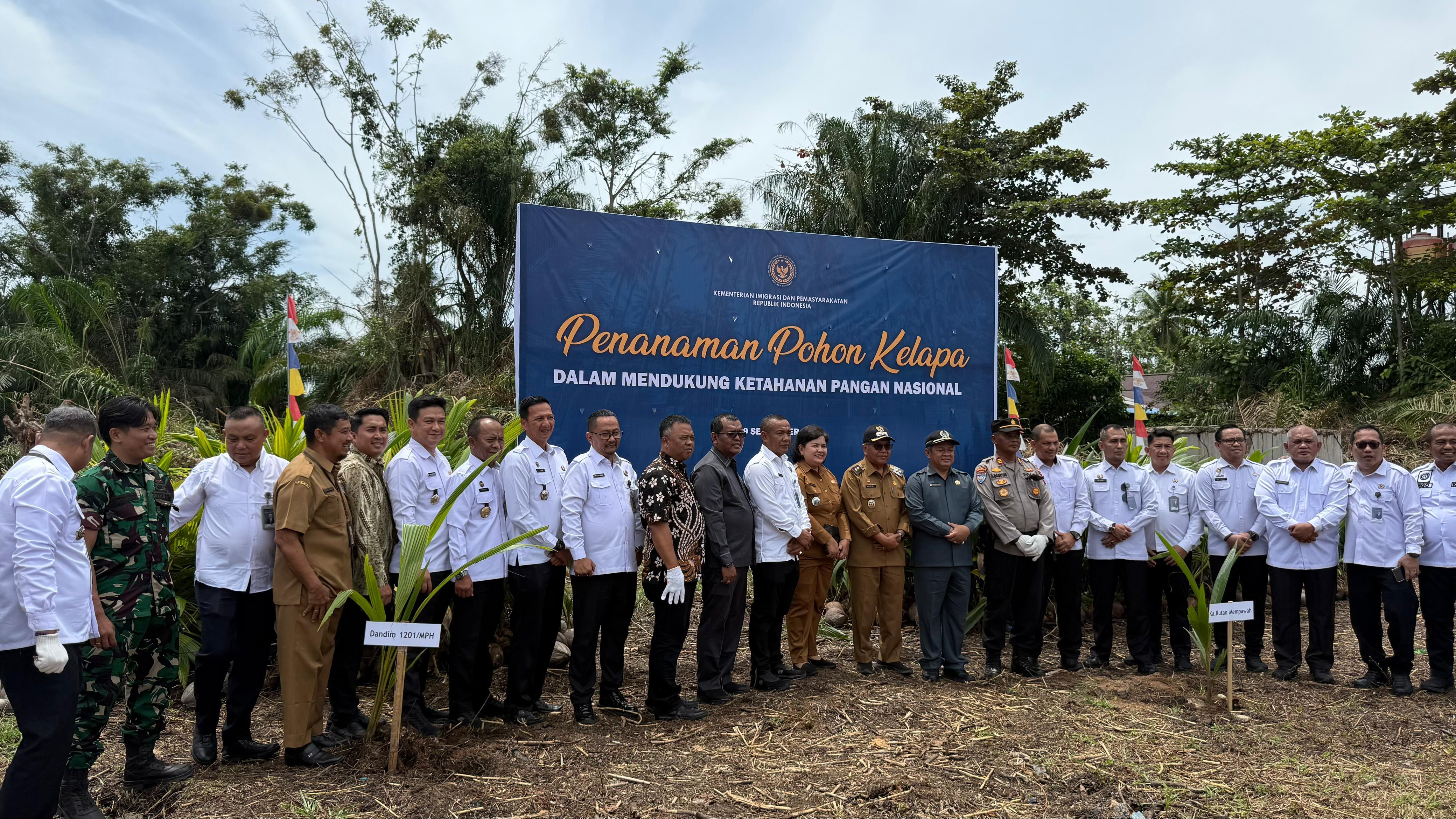 TANAM KELAPA 2